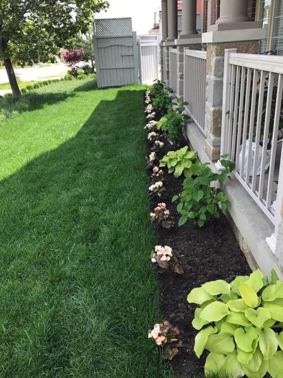 sod-and-landscape-plant-installation sod-and-landscape-plant-installation